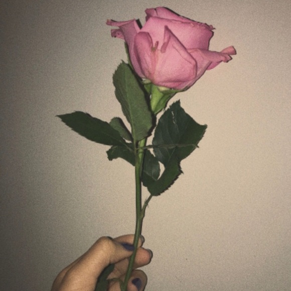 Meet your Posher, Lorelai - Picture 1 of 1